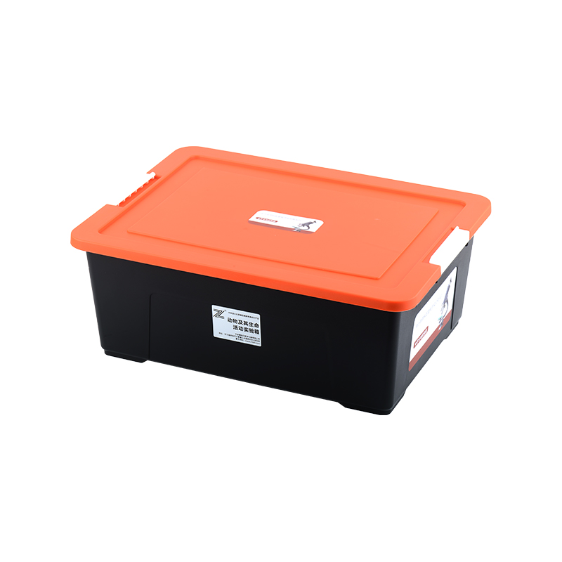 Animals and their life activity experiment box
