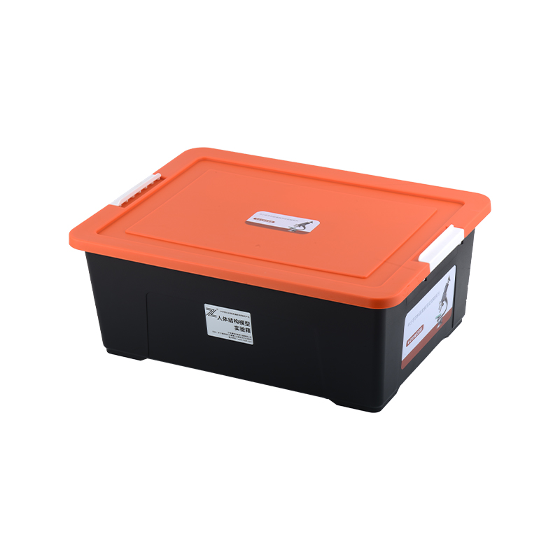 Human body model experiment box