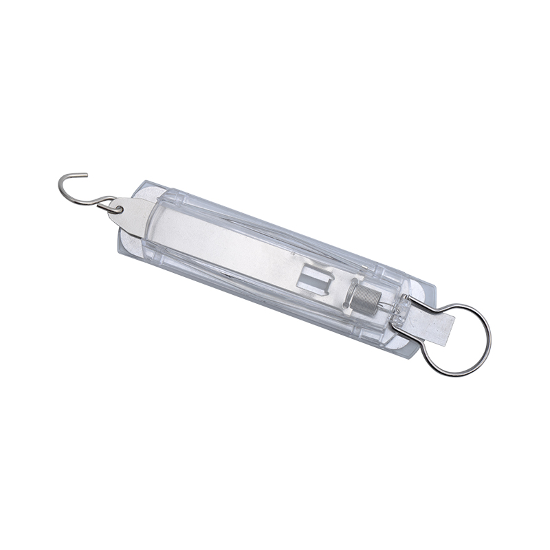 Newton's spring scale